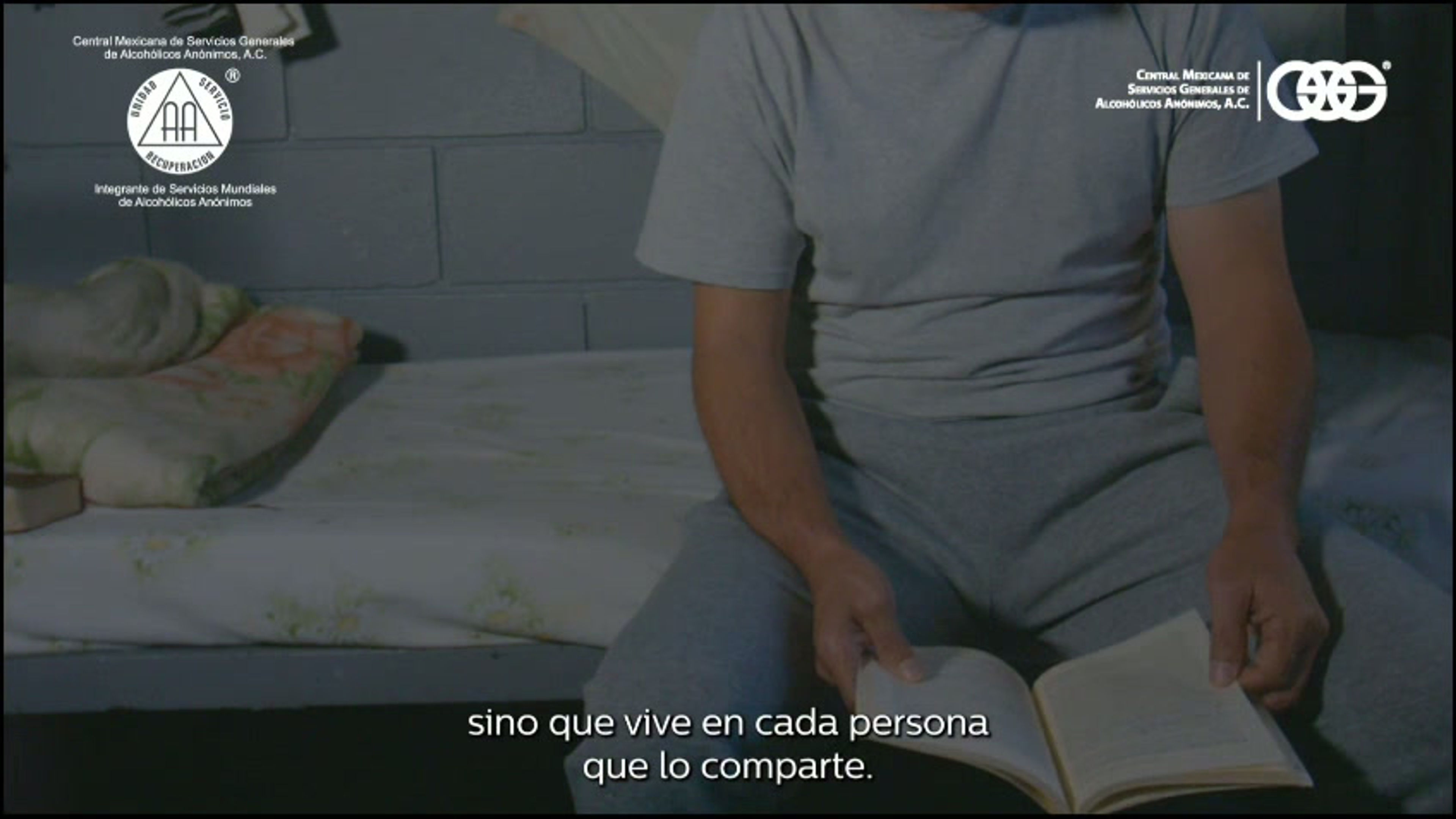 Cruzada Nacional del «Libro Grande»